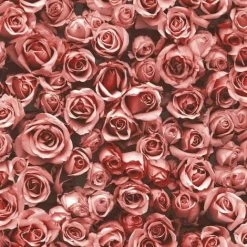 Small Red Roses Floral Wallpaper Flowers Photographic Collage Muriva Rosalee