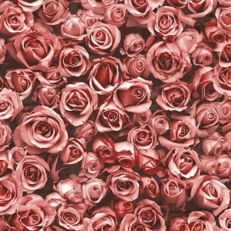 Small Red Roses Floral Wallpaper Flowers Photographic Collage Muriva Rosalee 1 Small Red Roses Floral Wallpaper Flowers Photographic Collage Muriva Rosalee