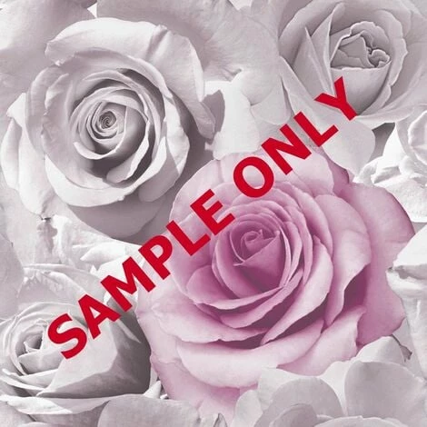 Muriva Madison Rose Floral Wallpaper Large Bloom Pink Flowers 4 Muriva Madison Rose Floral Wallpaper Large Bloom Pink Flowers - Image 4
