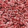 Muriva Rosalee Red Wallpaper 158502 - Feature Small Roses Floral Photographic…
