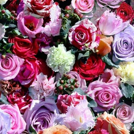Muriva Roses Wallpaper (10m X 53cm) (Red/Pink) 1 Muriva Roses Wallpaper (10m X 53cm) (Red/Pink)
